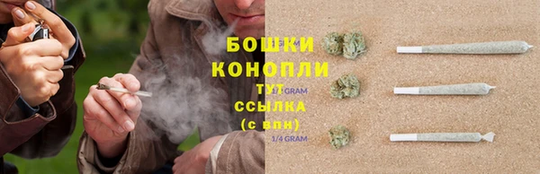 не бодяженный Медногорск