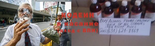 дживик Мегион