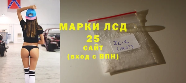 дживик Мегион