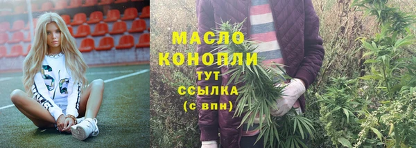 дживик Мегион