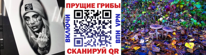 Галлюциногенные грибы MAGIC MUSHROOMS  Трубчевск 